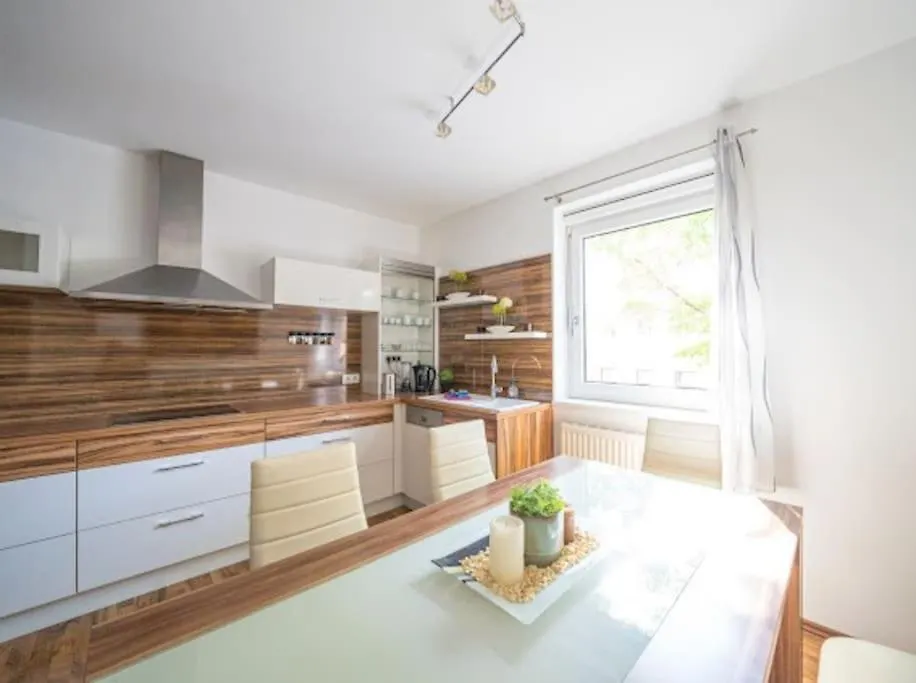 Big Luxury 3Br Near Center Apartment Vienna Austria