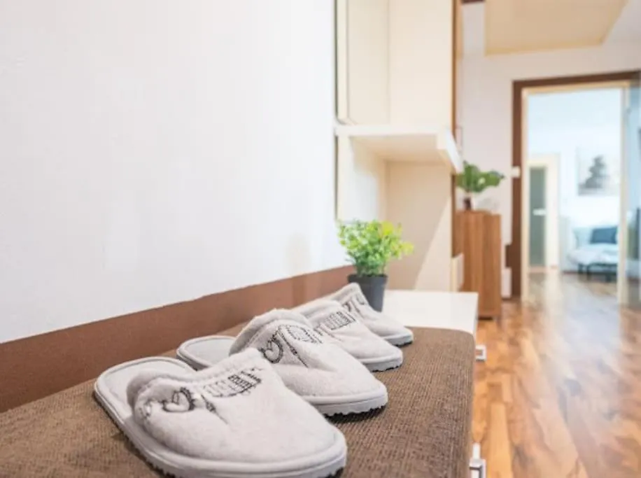 Big Luxury 3Br Near Center Apartment Vienna