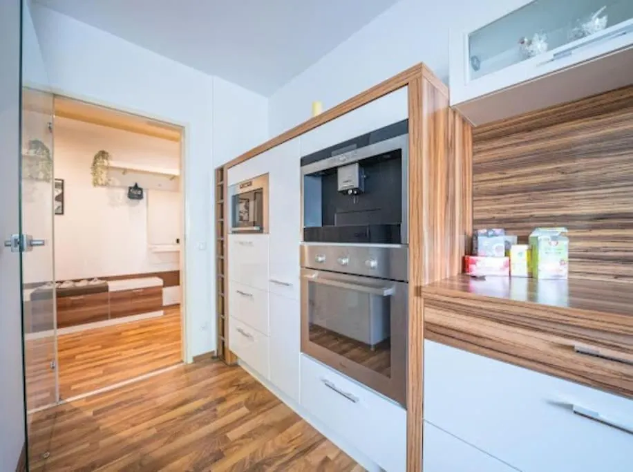 Big Luxury 3Br Near Center Apartment Vienna